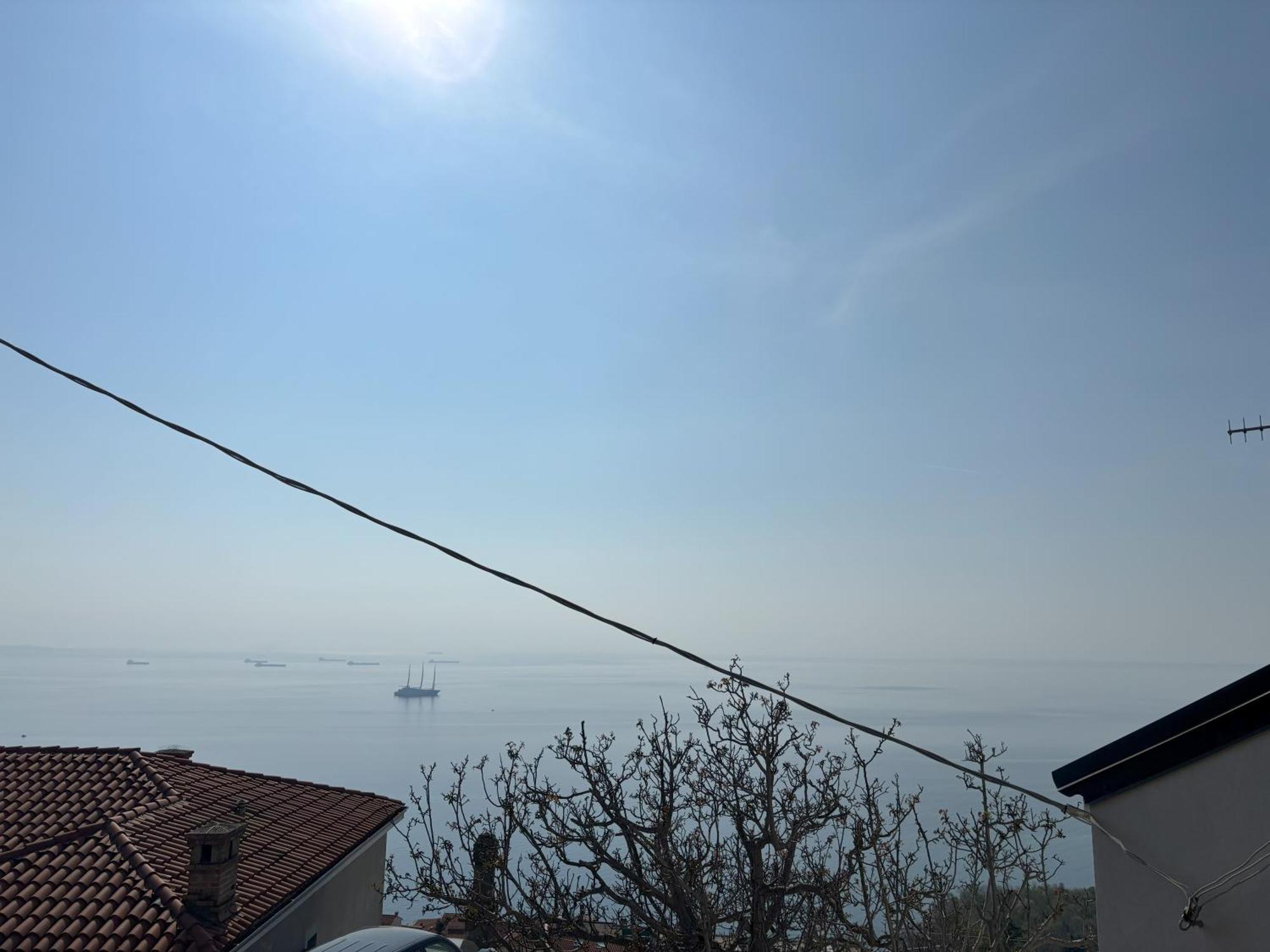Affitto Turistico Via Bonomea 219-1 Lägenhet Trieste Exteriör bild
